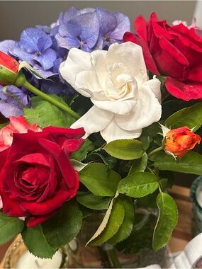 HUMP DAY LIVE * ALL SIZES * APRIL 8, 2026